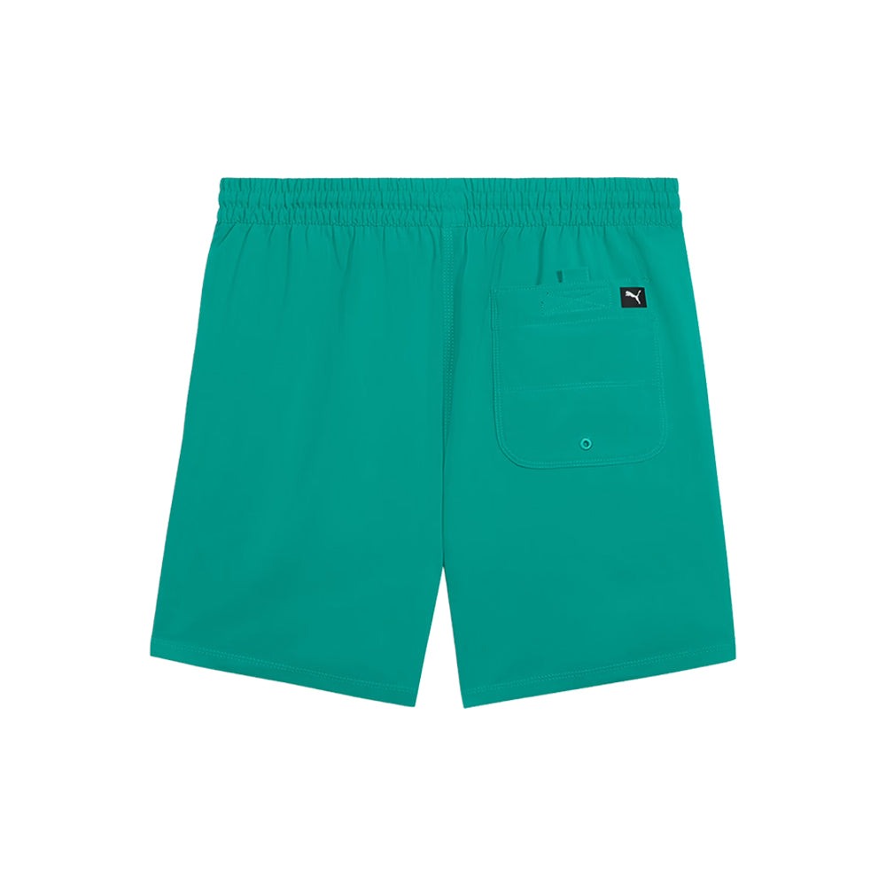 Archive 5.5 Inch Swim Trunks