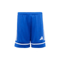 Squadra 25 Shorts Kids (Youth)
