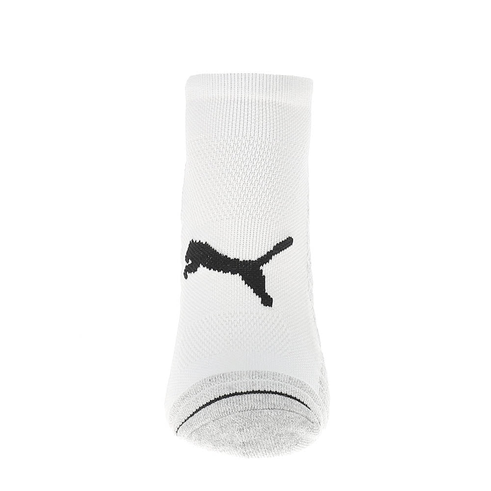 3 Pack Select Terry Low Cut Socks