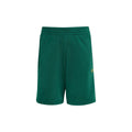 Firebird Shorts