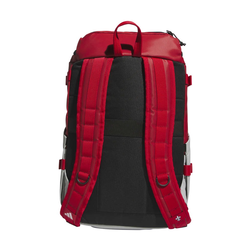 Collegiate Vista Backpack