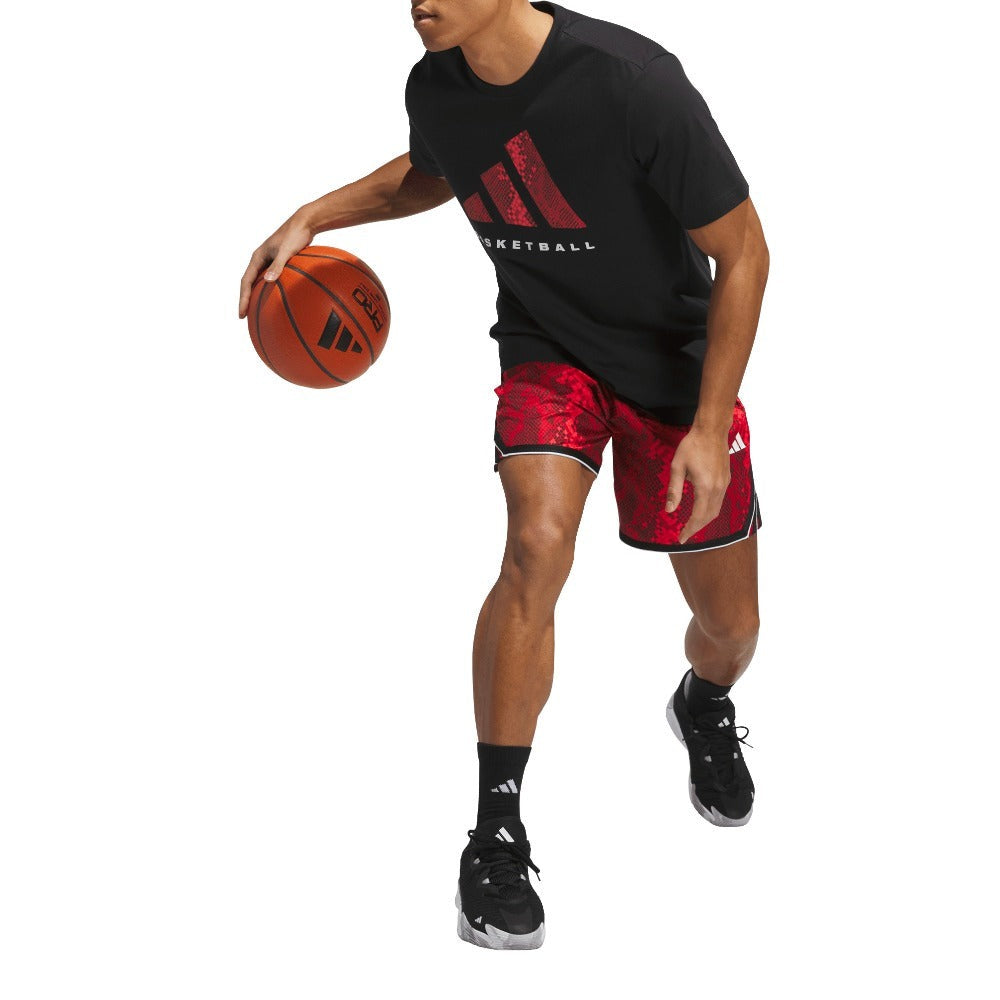 Crazylite Animal AOP Shorts