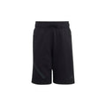 Z.N.E. Shorts