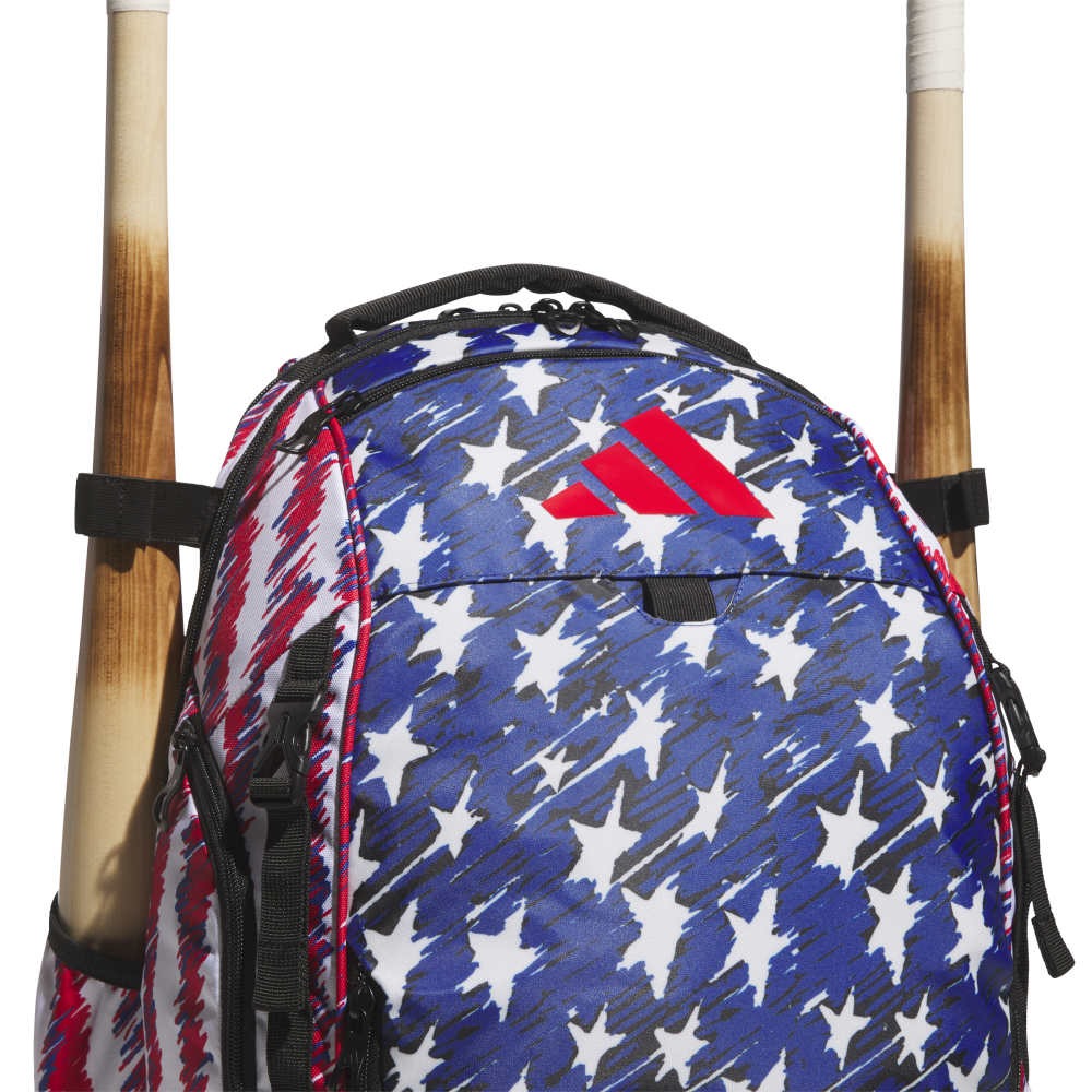 Dugout P Backpack
