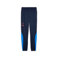 King Pro Soccer Training Pants