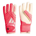 Copa Pro Goalkeeper Glove