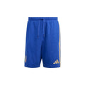 Italy DNA Fleece Shorts