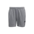 Workout Essentials Feelready Shorts