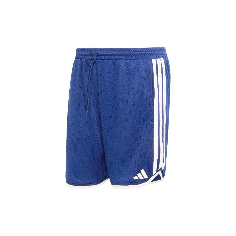 Stadium Mesh Shorts