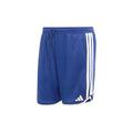 Stadium Mesh Shorts