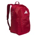 Stadium 4 Backpack