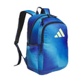 Affiliate Backpack
