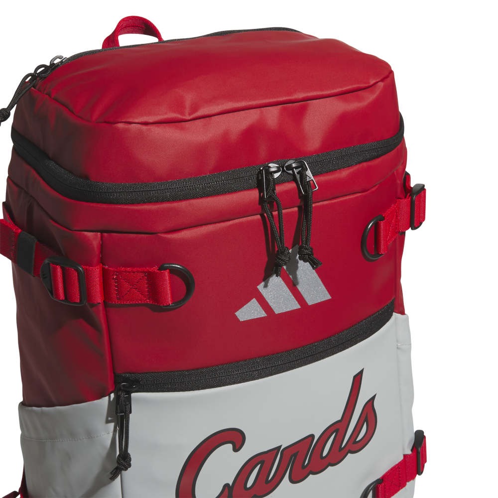 Collegiate Vista Backpack