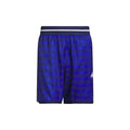 Adidas Crazy Lite AOP Shorts