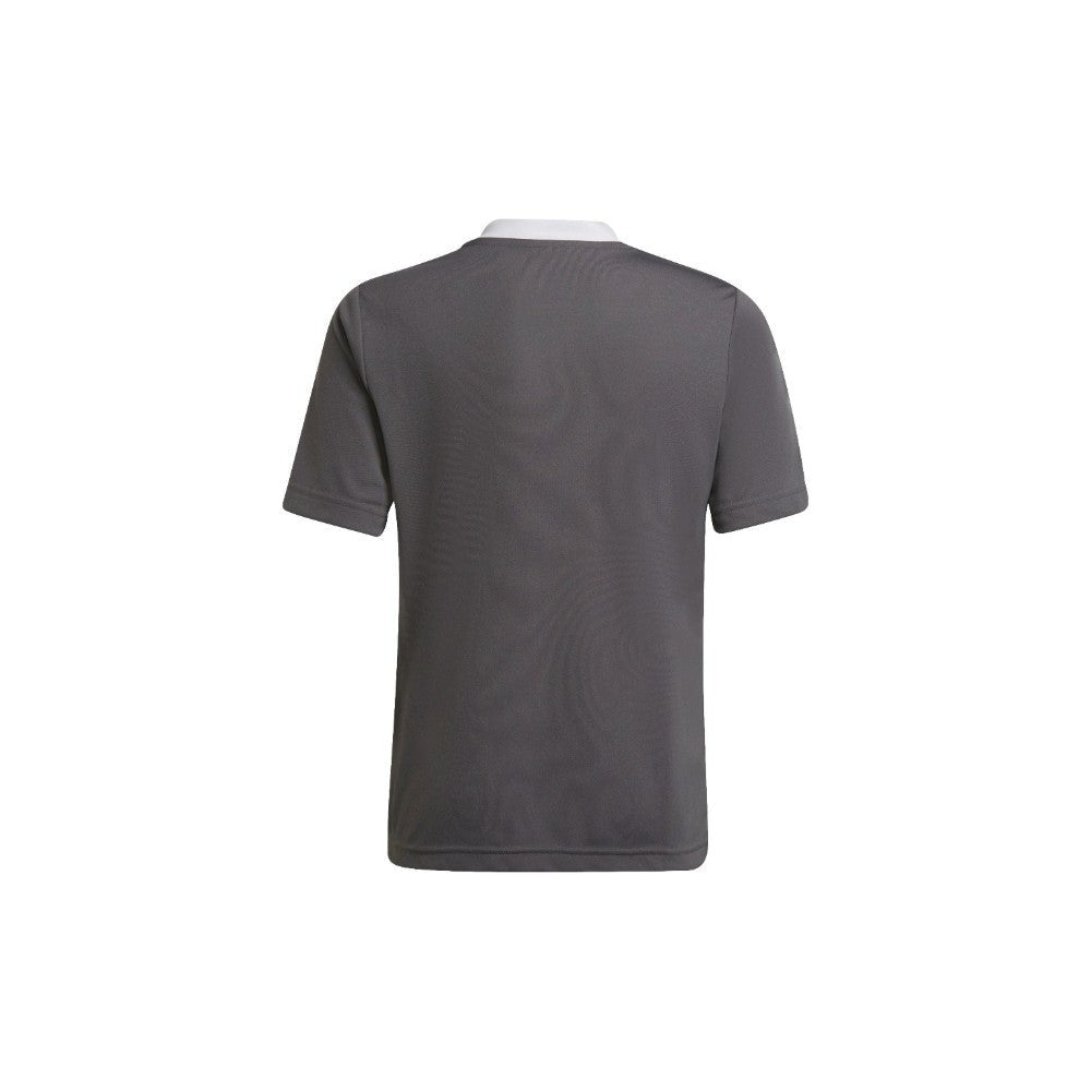 Entrada 22 Jersey Youth