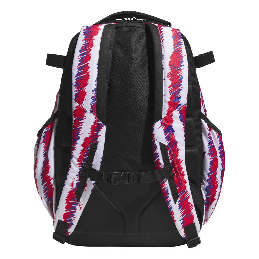 Dugout P Backpack