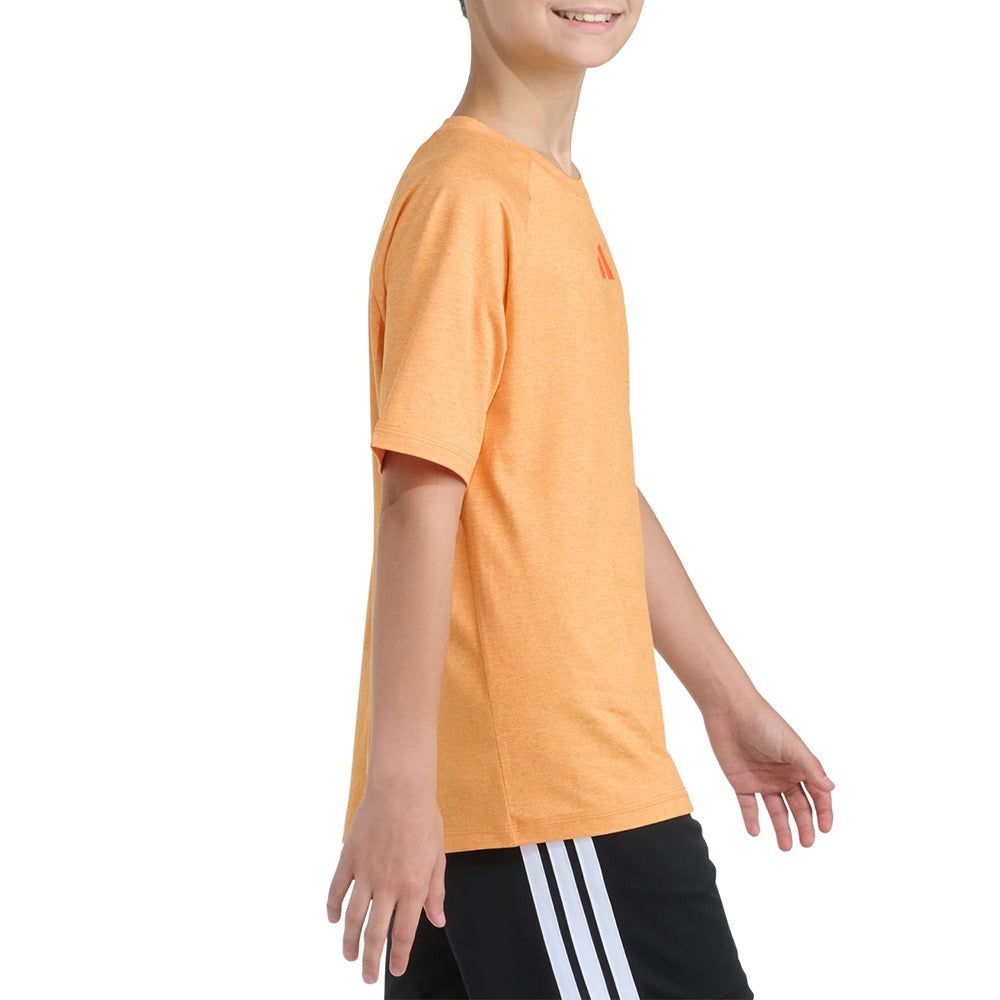 Raglan Poly Tee