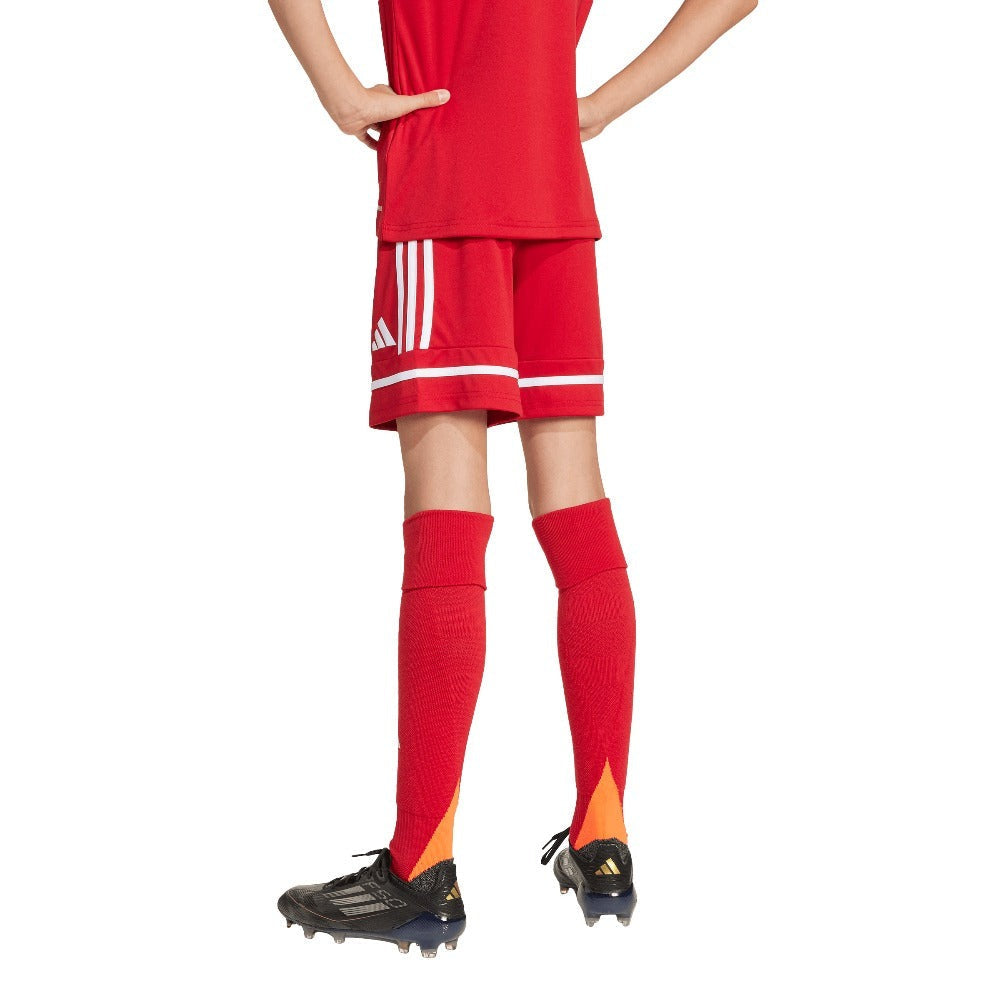 Squadra 25 Shorts