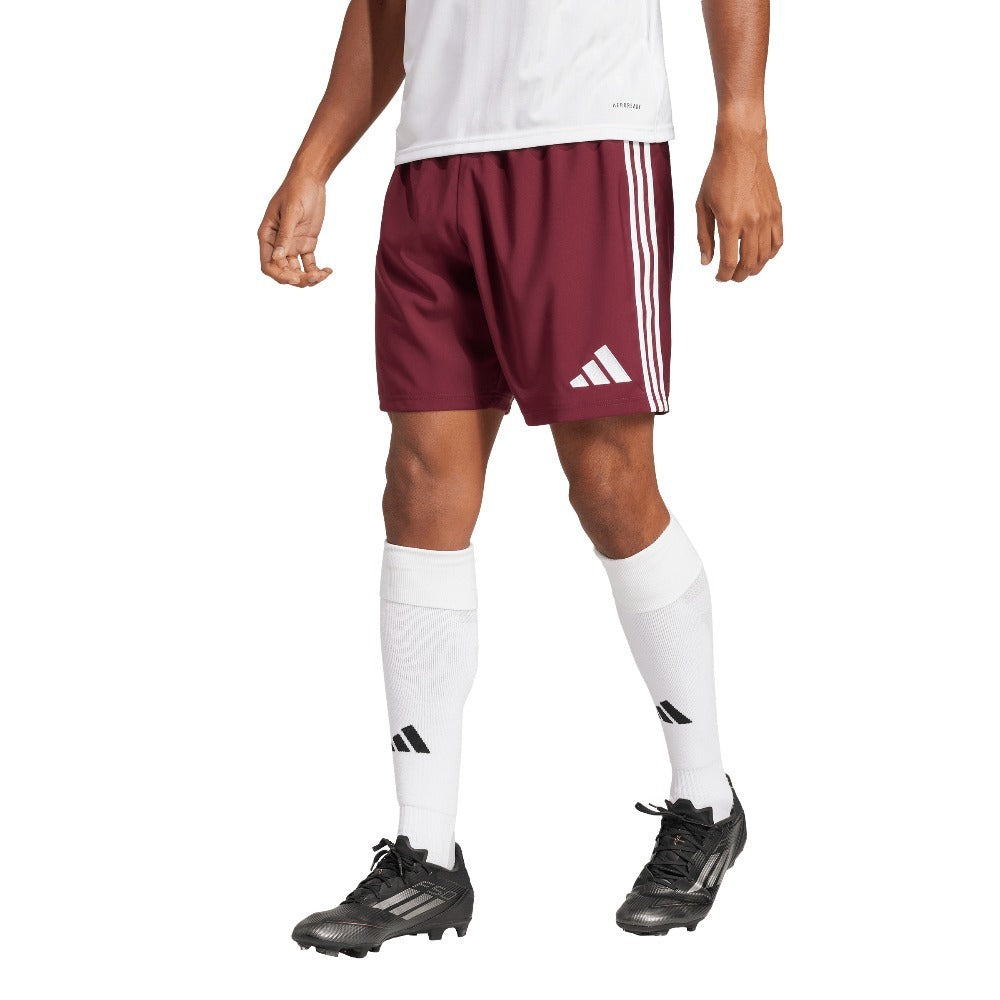 Tastigo 25 Shorts