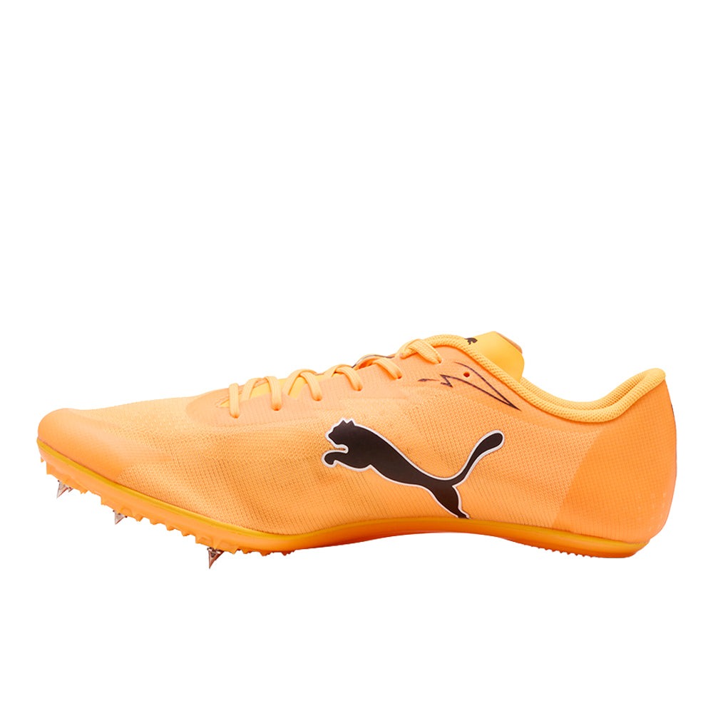 evoSPEED Brush 7 Track & Field Cleats