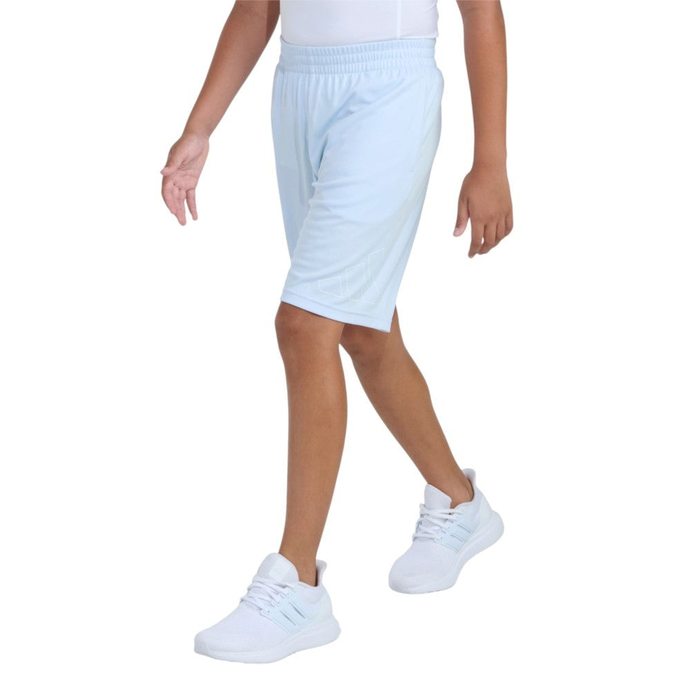 Essentials Big Logo Short