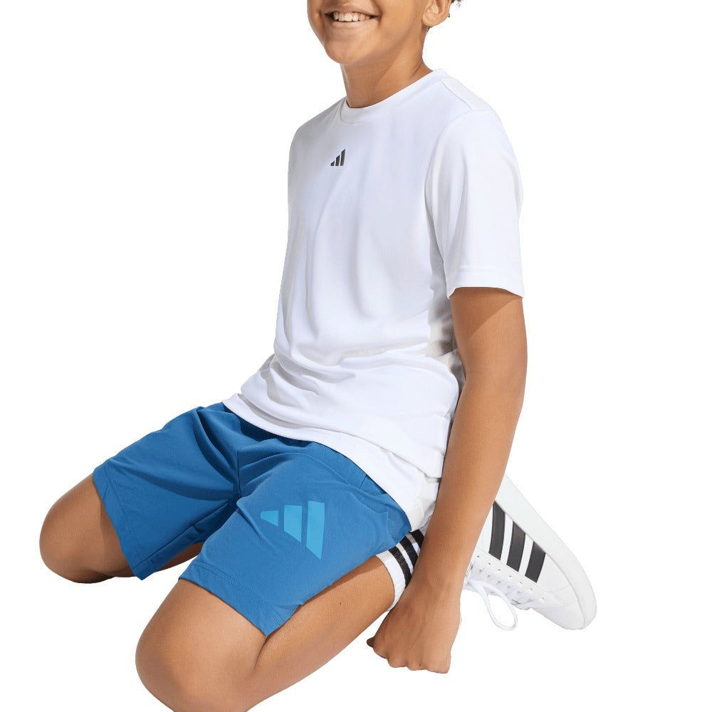 Z.N.E. Woven Travel Shorts