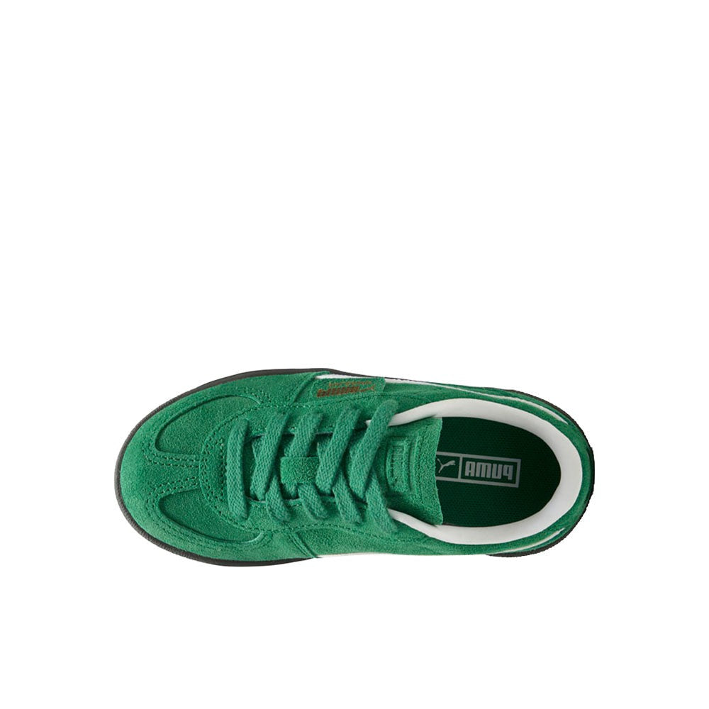 Palermo Lace Up Sneakers (Youth)