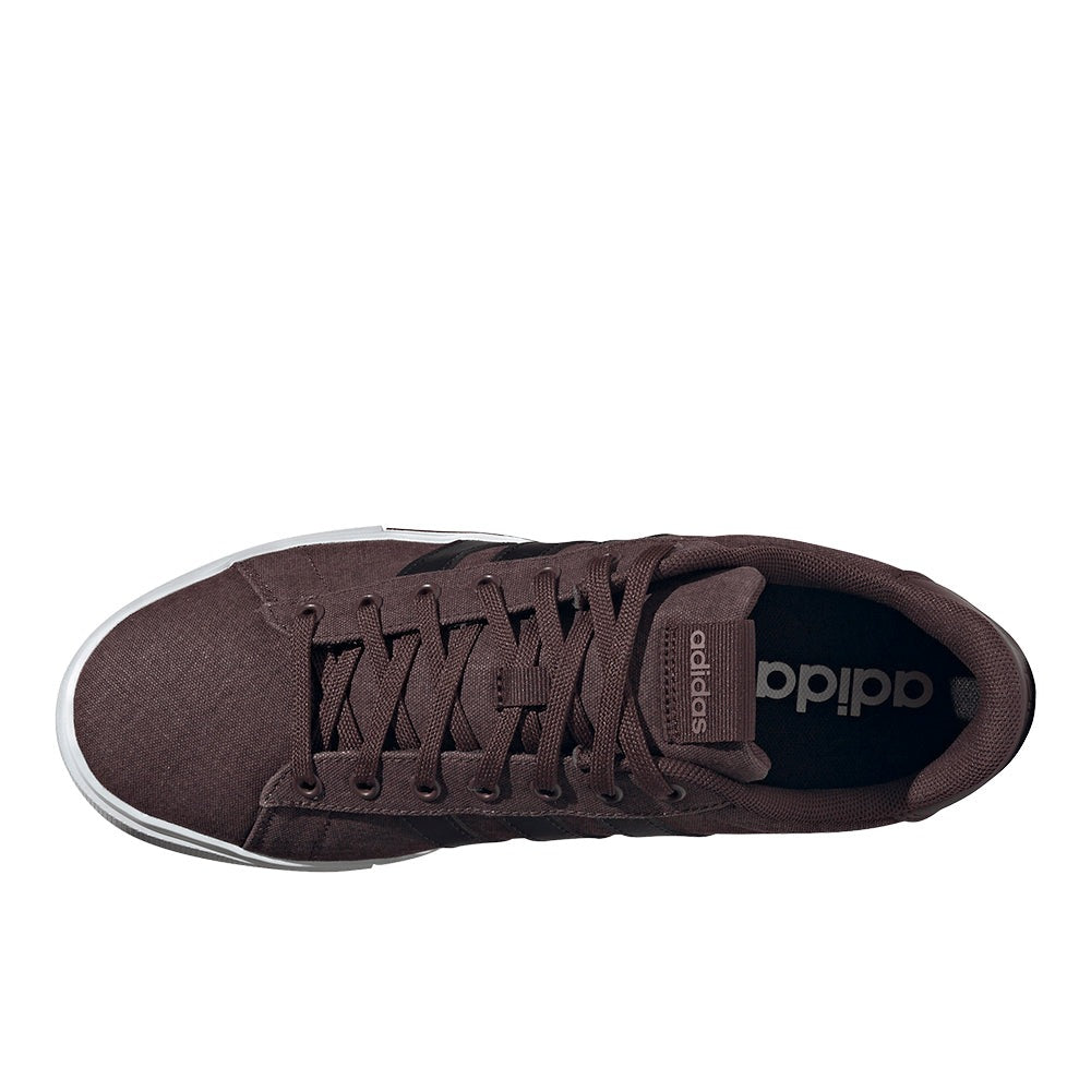 Daily 4.0 Shoes