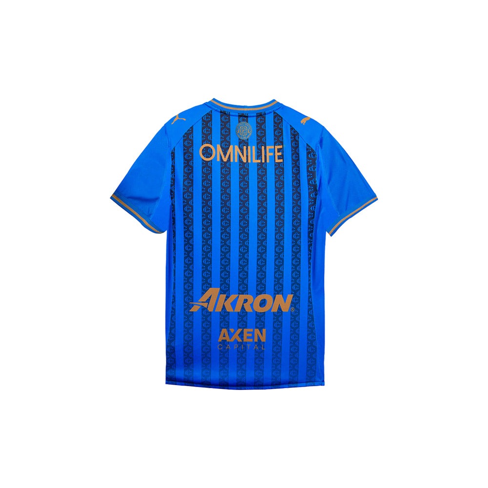 Chivas Alternative Replica 25/26 Soccer Jersey (Youth)
