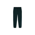 Essentials Satin Fleece Joggers (Youth)