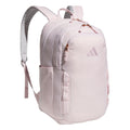 Amplifier Backpack
