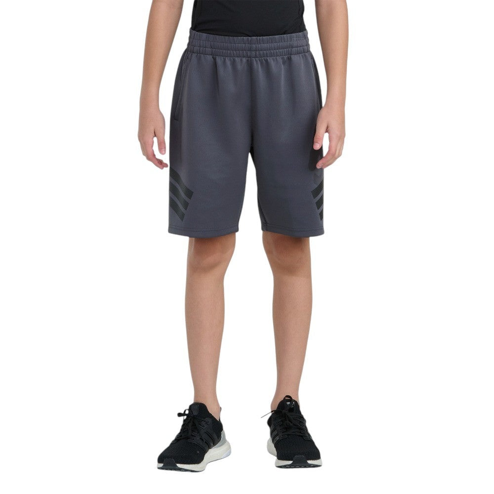 Icons Shorts