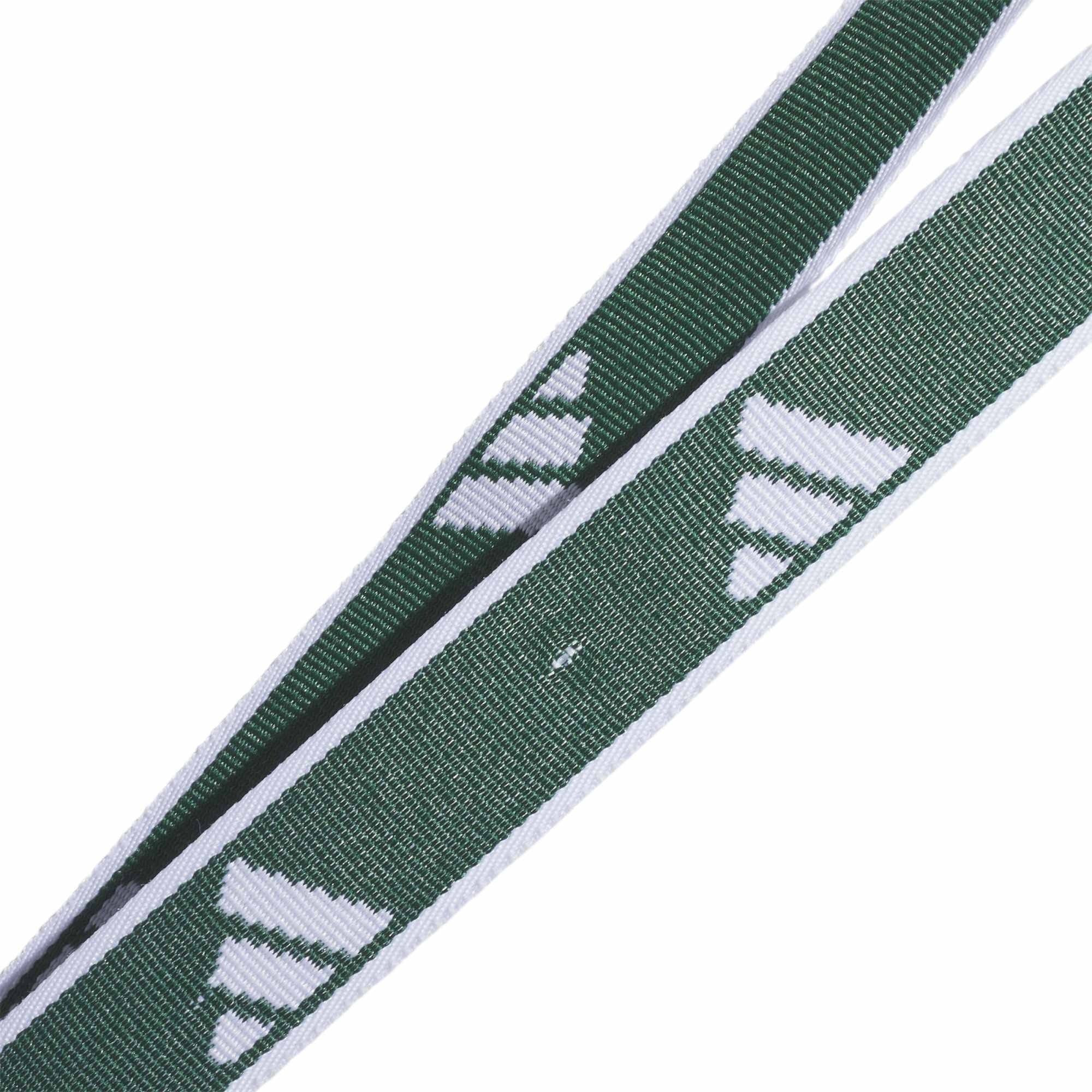 Interval 2.0 Lanyard