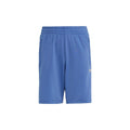 Firebird Shorts