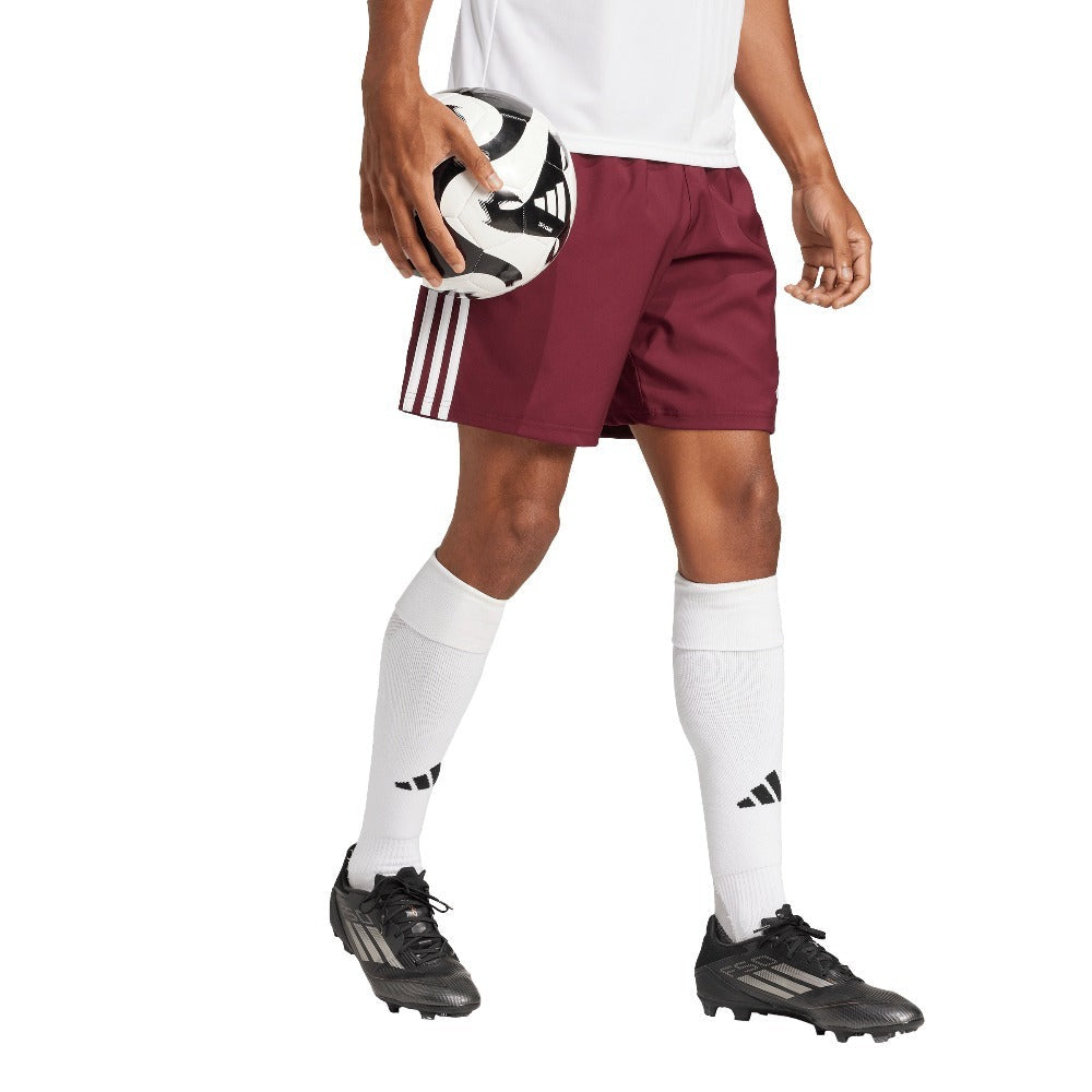 Tastigo 25 Shorts
