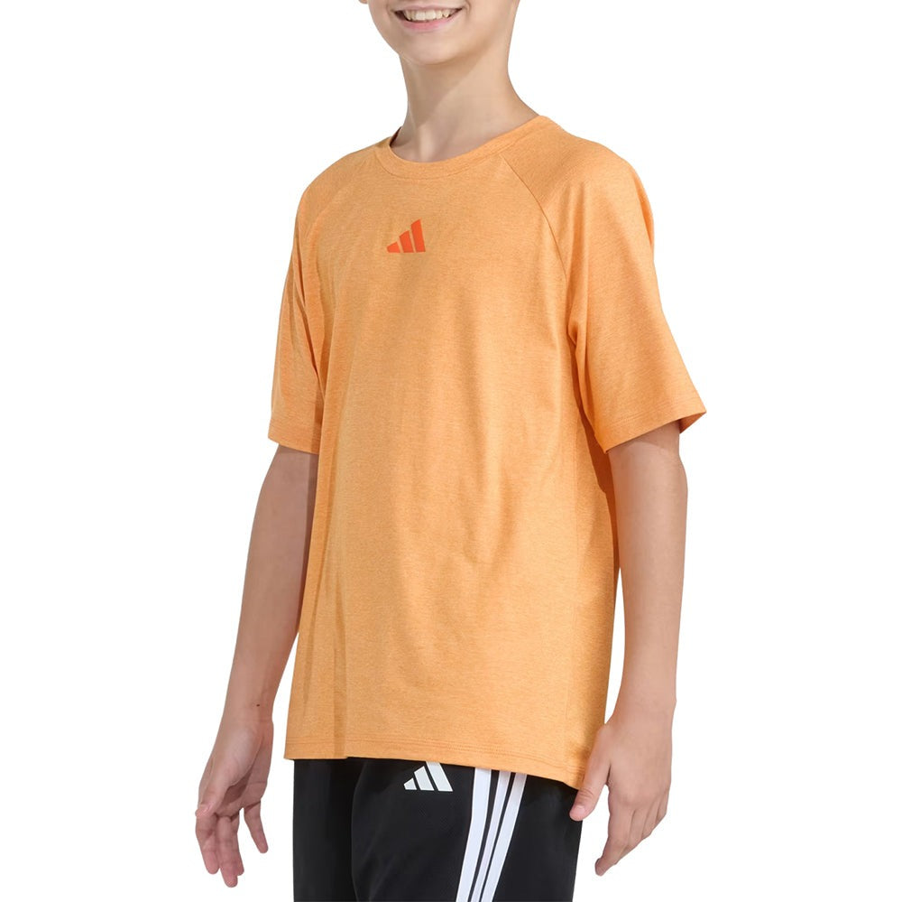 Raglan Poly Tee