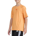 Raglan Poly Tee