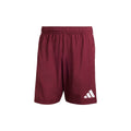 Tastigo 25 Shorts