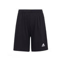 Entrada 22 Shorts