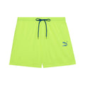Archive 5.5 Inch Swim Trunks