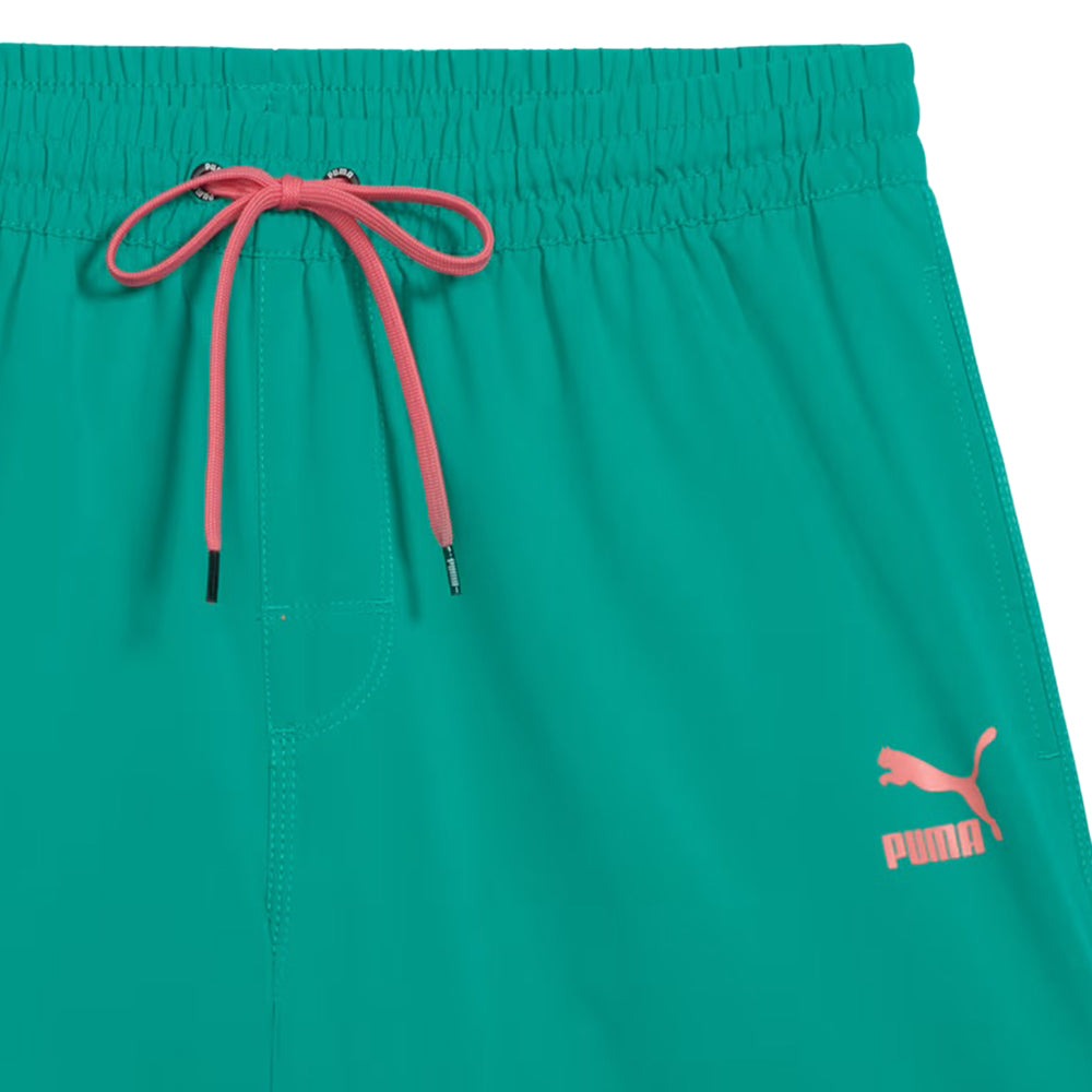Archive 5.5 Inch Swim Trunks