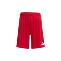Entrada26 Shorts