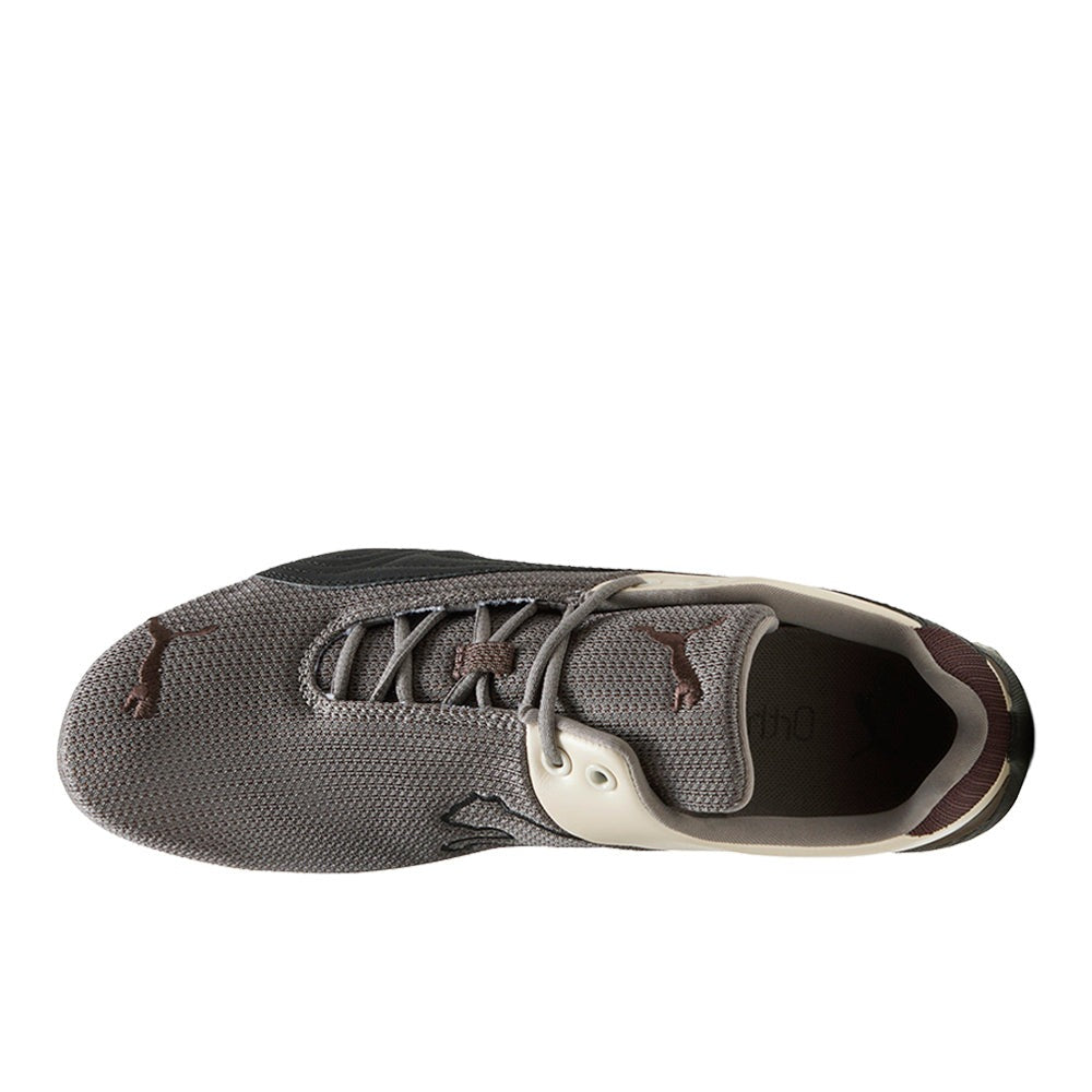Future Cat Metallic Lace Up Sneakers