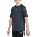 Raglan Poly Tee