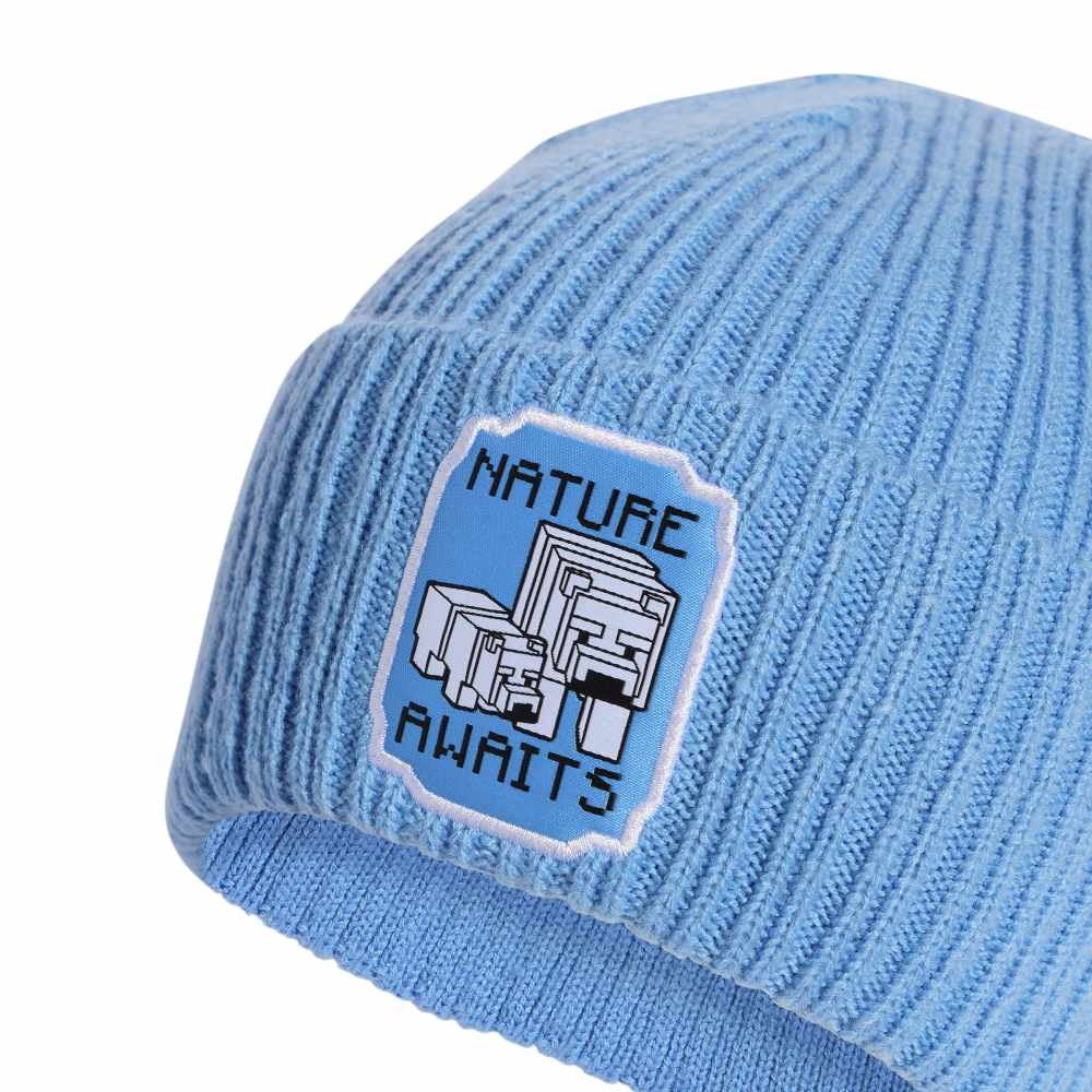 Adidas Minecraft Beanie