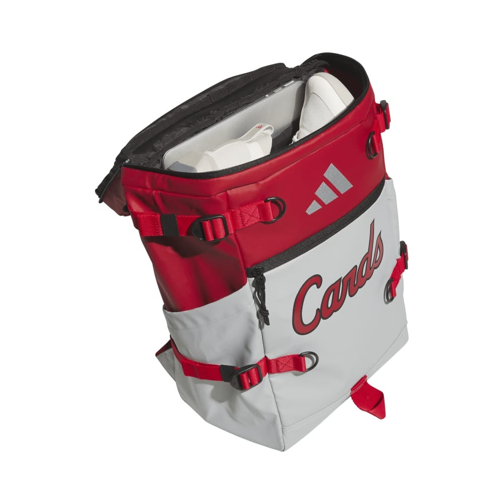 Collegiate Vista Backpack