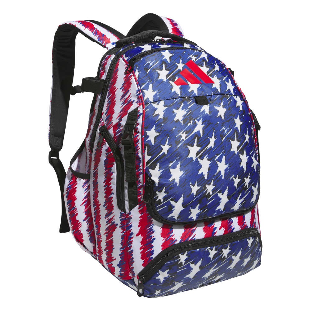 Dugout P Backpack