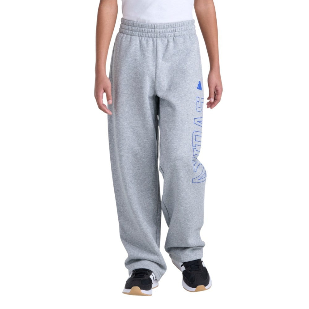 Elastic Waistband Collegiate Graphic Heather Joggers