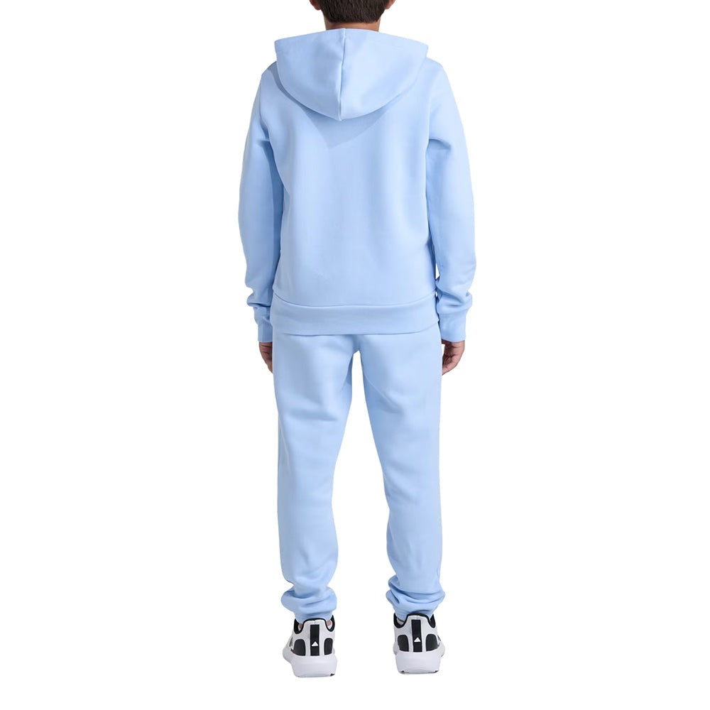 2-Piece Long Sleeve Pullover Hoodie and Joggers Essential Small Logo Fleece Set (Youth)
