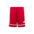 Squadra 25 Shorts